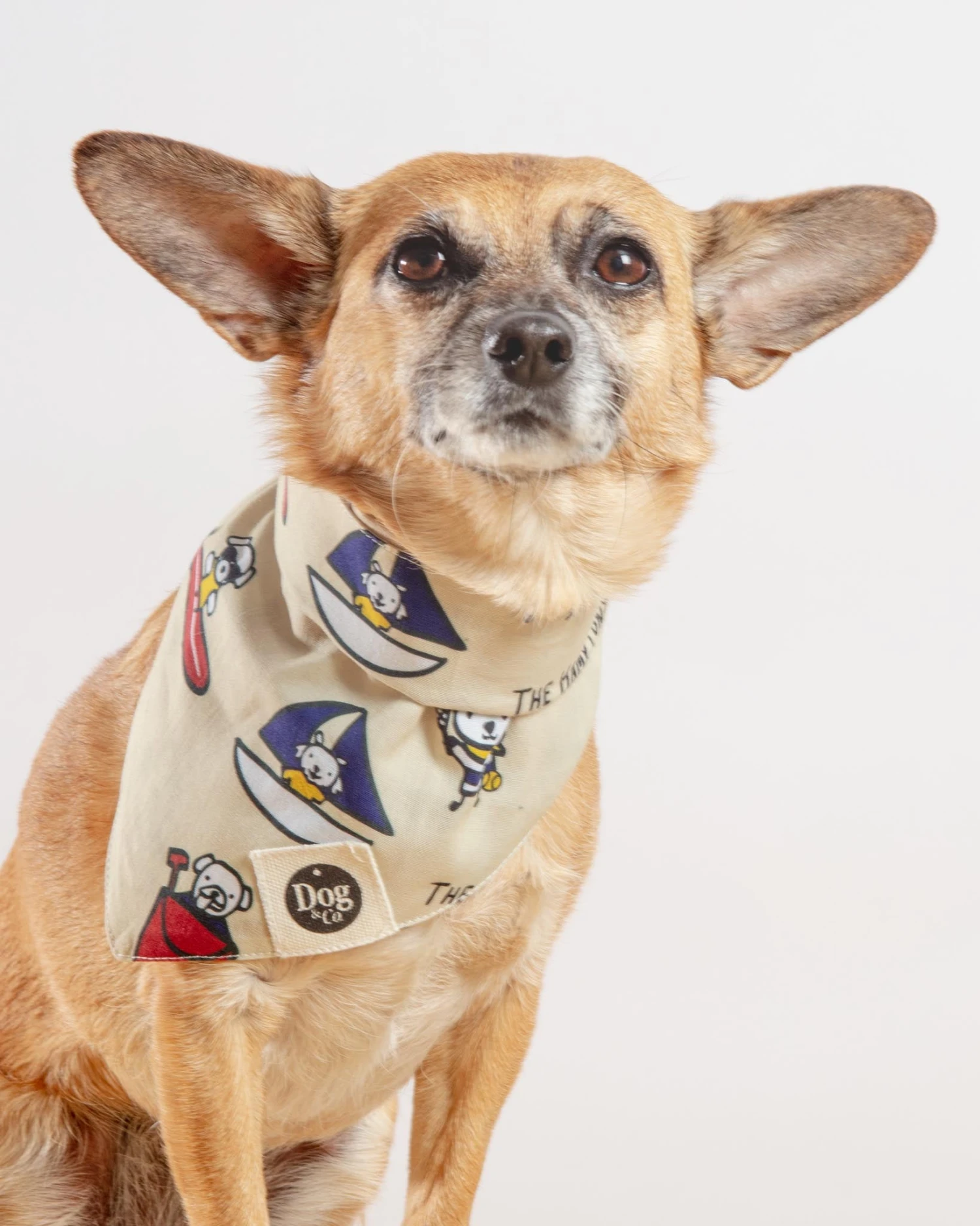 DOG & CO. I Heart The Hamptons Dog Bandana (Dog & Co. Exclusive) 2 DOG & CO. I Heart The Hamptons Dog Bandana (Dog & Co. Exclusive) - Image 2