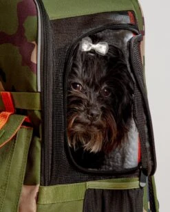 ROVERLUND Ready-For-Adventure Pet Backpack (Airline Compliant) -Pet Sale Shop Dog Co 1C5A0424