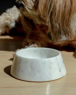 PUEBCO Puebco Marble Pet Bowl (FINAL SALE) -Pet Sale Shop Dog Co 1C5A0516