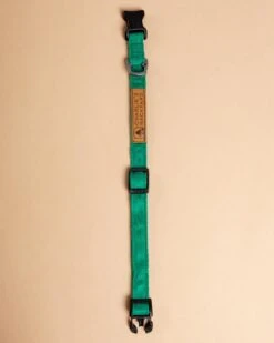 Pet Sale Shop -Pet Sale Shop Dog Co 1C5A0534