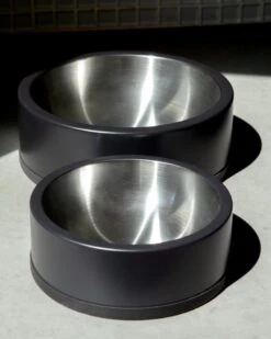 WILD ONE Wild One Dog Bowl In Black