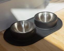 WILD ONE Wild One Dog Bowl In Black -Pet Sale Shop Dog Co 1C5A0553