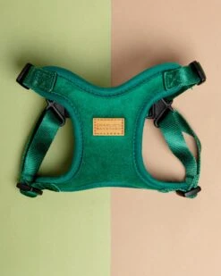 CHARLIE'S BACKYARD Comfort Dog Harness In Green -Pet Sale Shop Dog Co 1C5A0555