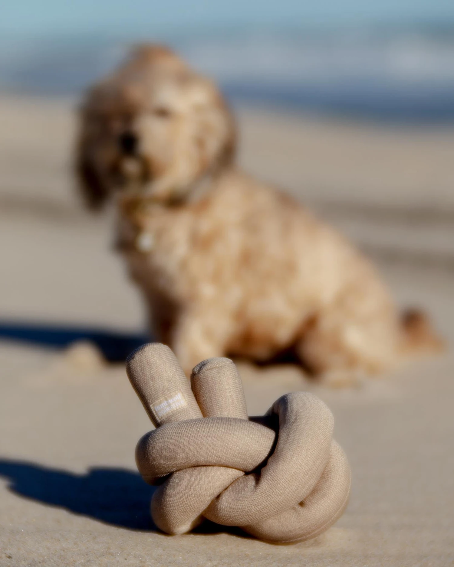 LAMBWOLF COLLECTIVE NouNou Interactive Crinkle Dog Toy In Tan 2 LAMBWOLF COLLECTIVE NouNou Interactive Crinkle Dog Toy In Tan - Image 2