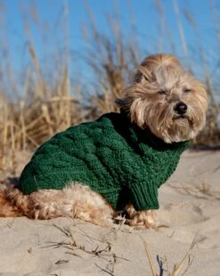 DOG & CO. COLLECTION Downtown Roll Neck Dog Sweater In Evergreen 13 DOG & CO. COLLECTION Downtown Roll Neck Dog Sweater In Evergreen -Pet Sale Shop Dog Co 1C5A0664