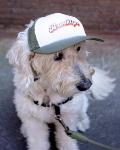 PUPLID Brooklyn Pet Trucker Hat (DOG & CO. EXCLUSIVE) -Pet Sale Shop Dog Co 1C5A0748