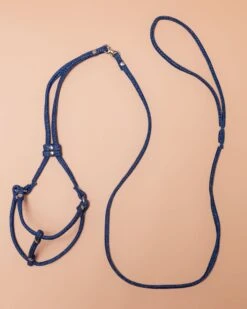 DOG & CO. Denim Step-In Adjustable Dog Harness (Made In The USA) 7 DOG & CO. Denim Step-In Adjustable Dog Harness (Made In The USA) -Pet Sale Shop Dog Co 1C5A0898