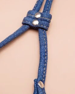 DOG & CO. Denim Step-In Adjustable Dog Harness (Made In The USA) 9 DOG & CO. Denim Step-In Adjustable Dog Harness (Made In The USA) -Pet Sale Shop Dog Co 1C5A0899