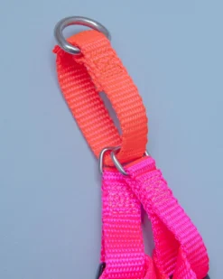 2 HOUNDS For DOG & CO. (Exclusive) Freedom No-Pull Harness In Neon Pink & Orange (Made In The USA) 12 2 HOUNDS For DOG & CO. (Exclusive) Freedom No-Pull Harness In Neon Pink & Orange (Made In The USA) -Pet Sale Shop Dog Co 1C5A1070 c6572e75 eebe 4580 a29f 37019061cab9