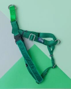 2 Hounds Design Freedom No-Pull Harness In Kelly Green (Made In The USA) (FINAL SALE) 17 2 Hounds Design Freedom No-Pull Harness In Kelly Green (Made In The USA) (FINAL SALE) -Pet Sale Shop Dog Co 1C5A1072