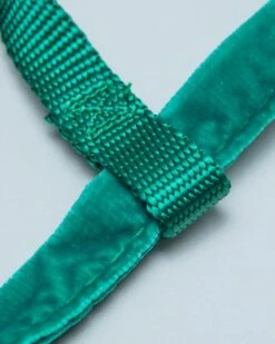 2 Hounds Design Freedom No-Pull Harness In Kelly Green (Made In The USA) (FINAL SALE) 16 2 Hounds Design Freedom No-Pull Harness In Kelly Green (Made In The USA) (FINAL SALE) -Pet Sale Shop Dog Co 1C5A1079