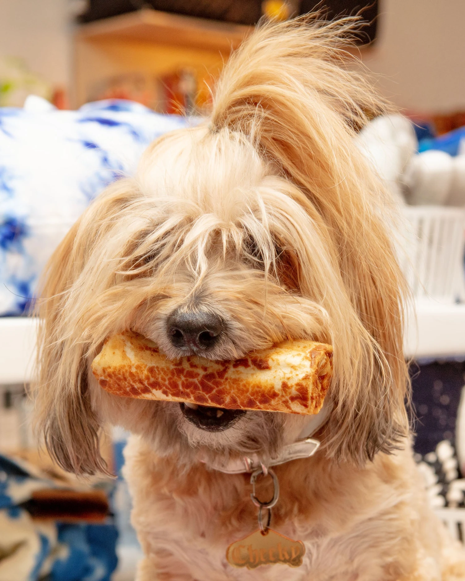 EARTH ANIMAL No-Hide Wholesome Dog Chew In Peanut Butter 3 EARTH ANIMAL No-Hide Wholesome Dog Chew In Peanut Butter - Image 3