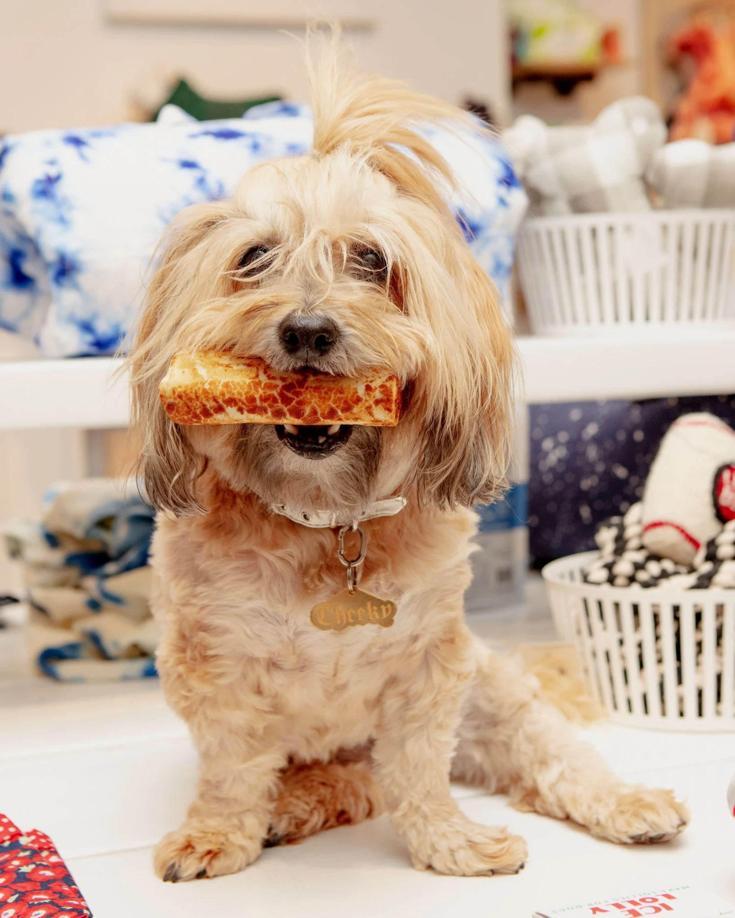 EARTH ANIMAL No-Hide Wholesome Dog Chew In Peanut Butter 4 EARTH ANIMAL No-Hide Wholesome Dog Chew In Peanut Butter - Image 4