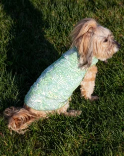 GOLD PAW Sun Shield Tee In Grand Teton Green (Made In The USA) 16 GOLD PAW Sun Shield Tee In Grand Teton Green (Made In The USA) -Pet Sale Shop Dog Co 1C5A1139 1cdbaeb0 9616 4630 88bb ece4fb2364a5