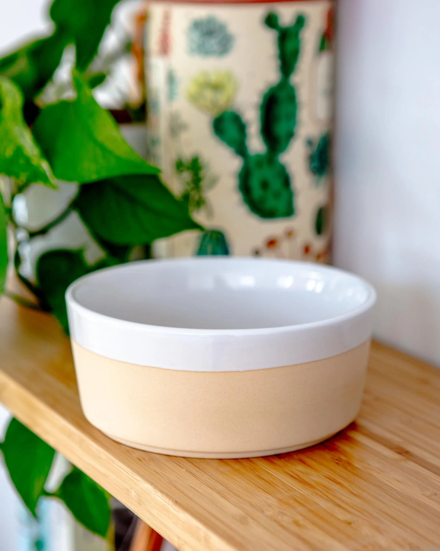 WAGGO Textured Dipper Ceramic Dog Bowl In White 6 WAGGO Textured Dipper Ceramic Dog Bowl In White - Image 6