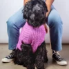 DOG & CO. COLLECTION The Uptown Cable Knit Sweater In Radiant Orchid American Cotton (Made In NYC)