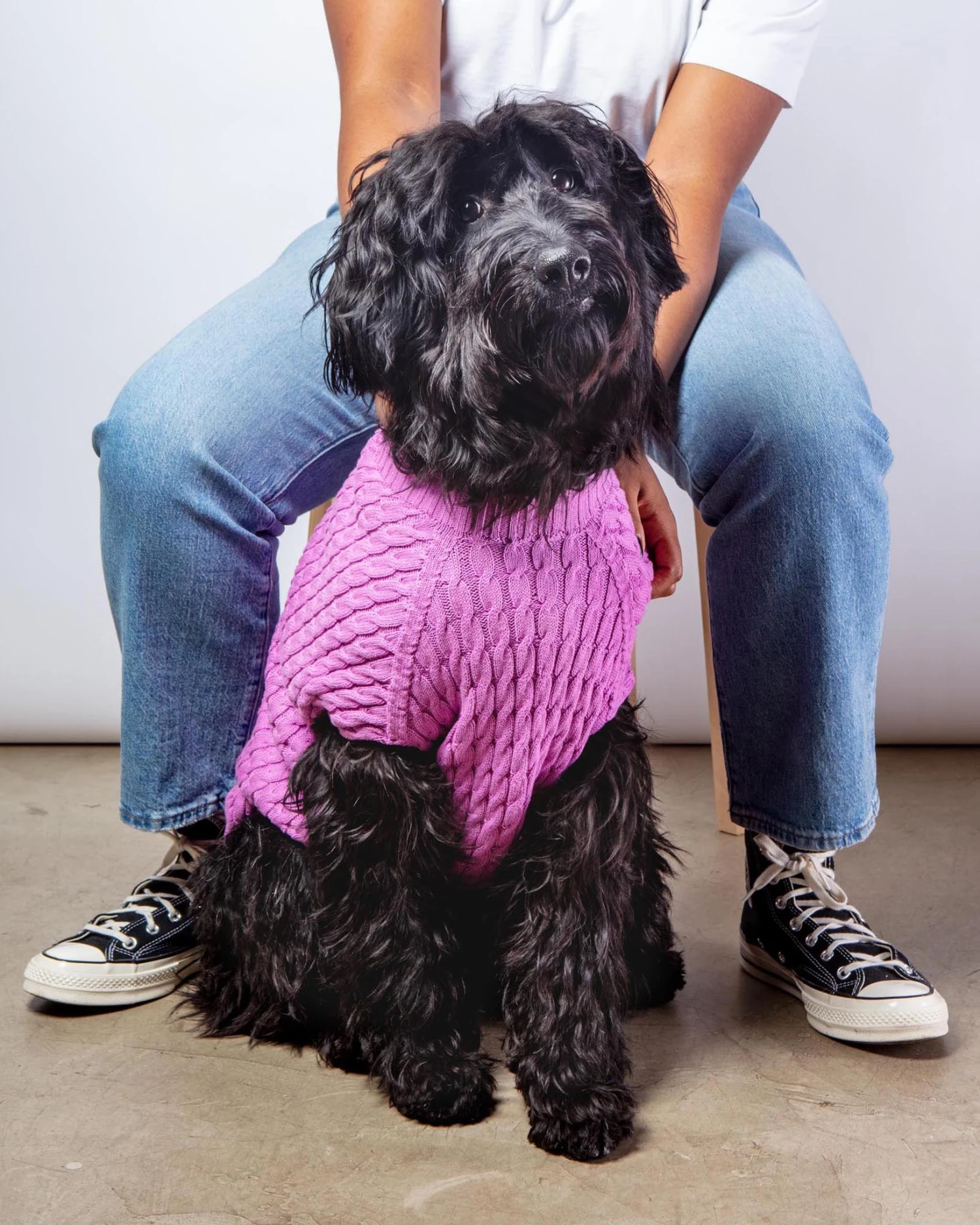 DOG & CO. COLLECTION The Uptown Cable Knit Sweater In Radiant Orchid American Cotton (Made In NYC) 1 DOG & CO. COLLECTION The Uptown Cable Knit Sweater In Radiant Orchid American Cotton (Made In NYC)