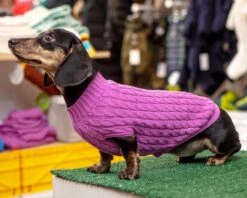 DOG & CO. COLLECTION The Uptown Cable Knit Sweater In Radiant Orchid American Cotton (Made In NYC) 13 DOG & CO. COLLECTION The Uptown Cable Knit Sweater In Radiant Orchid American Cotton (Made In NYC) -Pet Sale Shop Dog Co 1C5A1882 cffe0d9e d3e8 4840 bbf5 d80a23f11a32