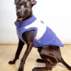 GOOBY Zip-Up Sherpa Dog Vest In Moonstone Blue (FINAL SALE)