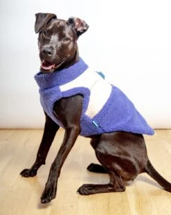 GOOBY Zip-Up Sherpa Dog Vest In Moonstone Blue (FINAL SALE)