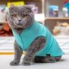 GOLD PAW Stretch Fleece Pullover In Turquoise