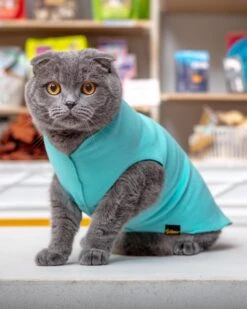 GOLD PAW Stretch Fleece Pullover In Turquoise