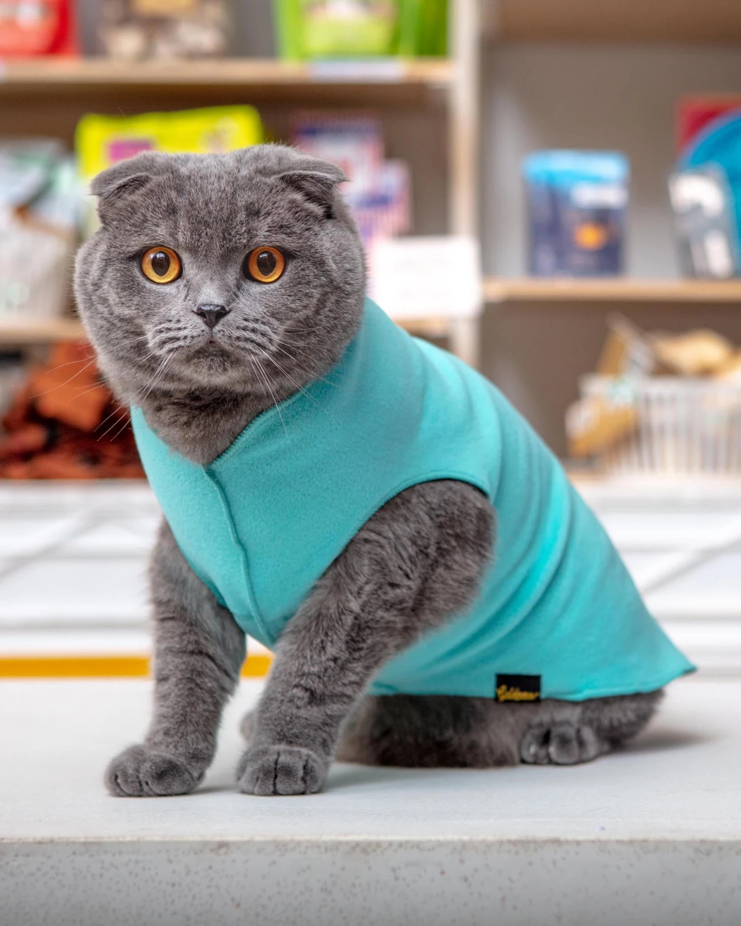 GOLD PAW Stretch Fleece Pullover In Turquoise 1 GOLD PAW Stretch Fleece Pullover In Turquoise
