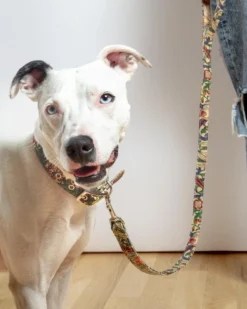 BLOSSOM CO. William Morris Golden Lily Print Dog Lead -Pet Sale Shop Dog Co 1C5A2021 40ef33a9 f653 4802 8431 650eaec5db25