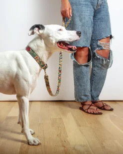 BLOSSOM CO. William Morris Golden Lily Print Dog Lead -Pet Sale Shop Dog Co 1C5A2031 22839da0 ba1c 4053 b473 8639fee9cecc