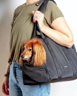 PUPS & BUBS Everywhere Convertible Tote Bag Pet Carrier