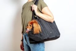 PUPS & BUBS Everywhere Convertible Tote Bag Pet Carrier 25 PUPS & BUBS Everywhere Convertible Tote Bag Pet Carrier -Pet Sale Shop Dog Co 1C5A2135