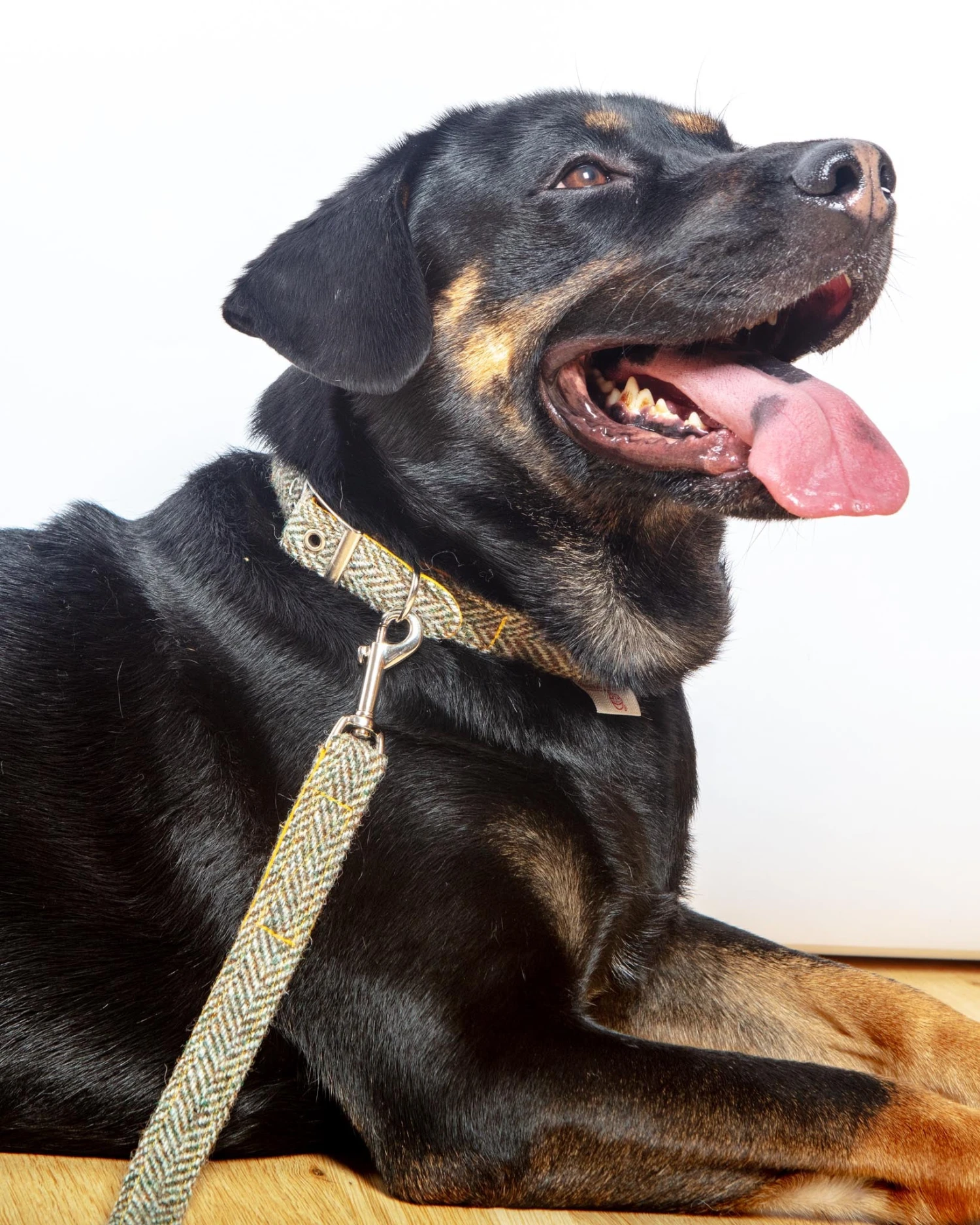 BLOSSOM CO. Eriskay Harris Tweed Dog Collar 1 BLOSSOM CO. Eriskay Harris Tweed Dog Collar