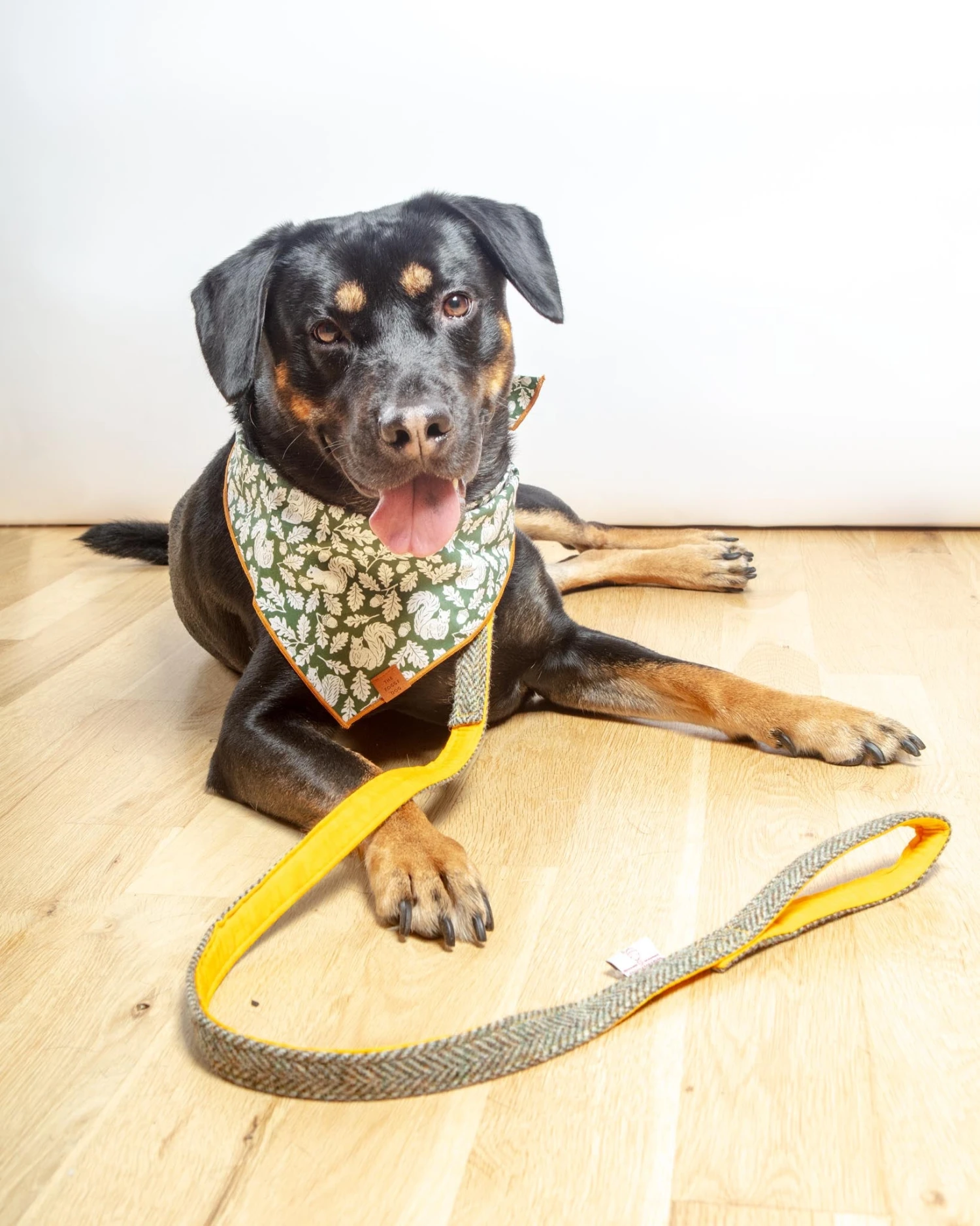 BLOSSOM CO. Eriskay Harris Tweed Dog Collar 7 BLOSSOM CO. Eriskay Harris Tweed Dog Collar - Image 7