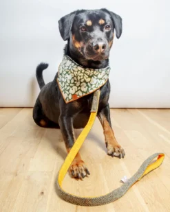 BLOSSOM CO. Eriskay Harris Tweed Dog Collar 9 BLOSSOM CO. Eriskay Harris Tweed Dog Collar -Pet Sale Shop Dog Co 1C5A2173