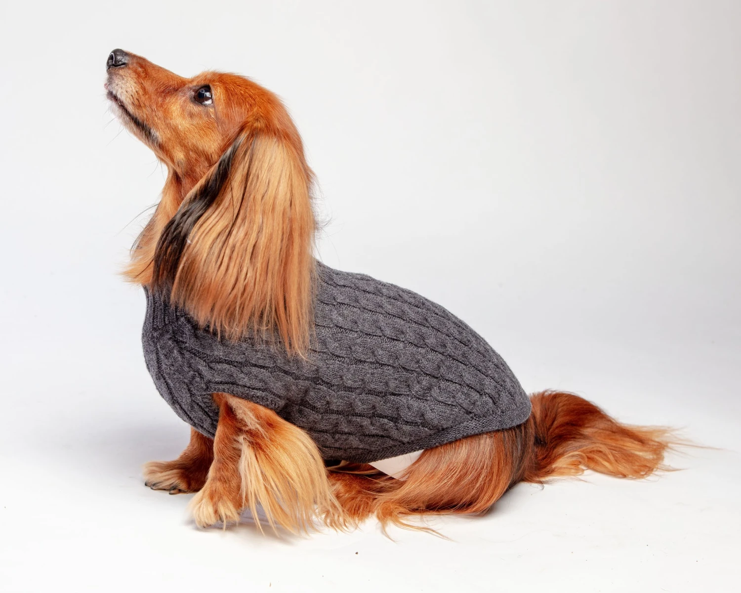 DOG & CO. COLLECTION The Uptown Cable Knit Sweater In City Slush Grey Merino Wool (Made In NYC) 11 DOG & CO. COLLECTION The Uptown Cable Knit Sweater In City Slush Grey Merino Wool (Made In NYC) - Image 11