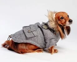 CANADA POOCH Alaskan Army Dog Parka In Salt And Pepper (FINAL SALE)