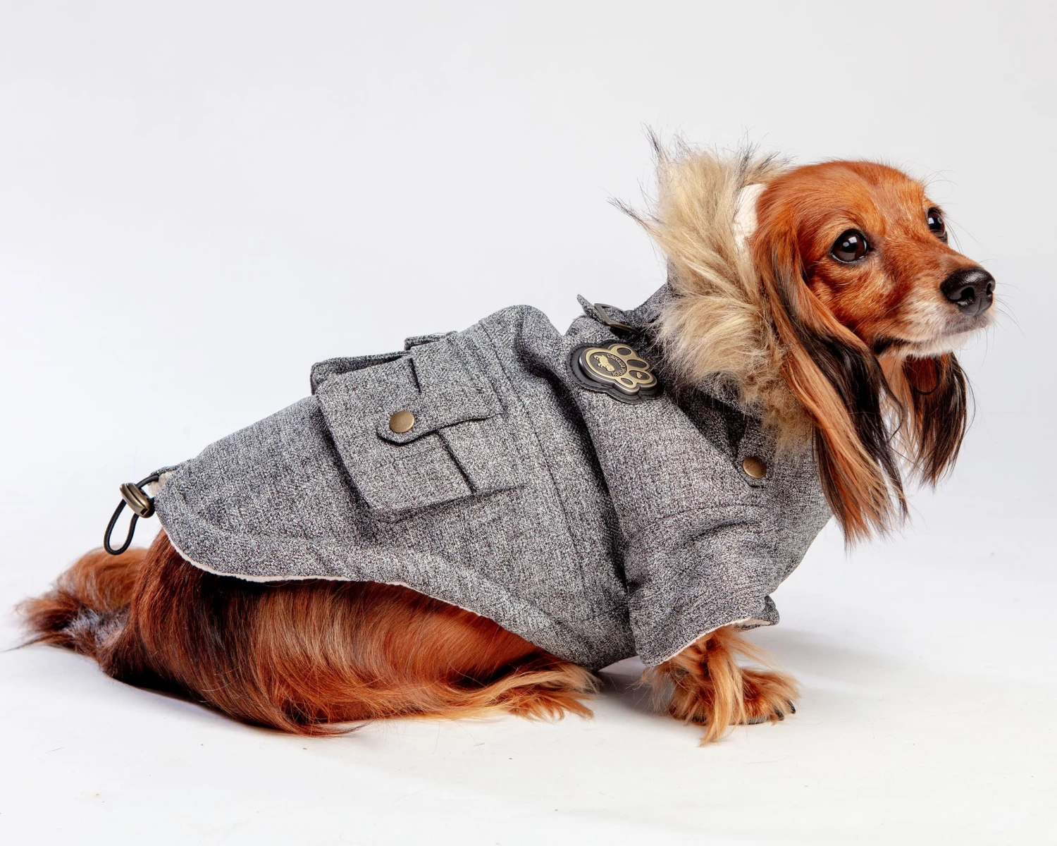 CANADA POOCH Alaskan Army Dog Parka In Salt And Pepper (FINAL SALE) 1 CANADA POOCH Alaskan Army Dog Parka In Salt And Pepper (FINAL SALE)