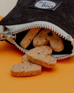 DOG & CO. COLLECTION Good Girl Bag Treat + Poop Bag Holder In Black Canvas (Made In NYC) -Pet Sale Shop Dog Co 1C5A3025