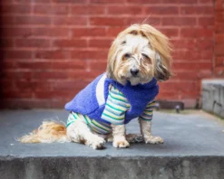 GOOBY Zip-Up Sherpa Dog Vest In Moonstone Blue (FINAL SALE) -Pet Sale Shop Dog Co 1C5A3163