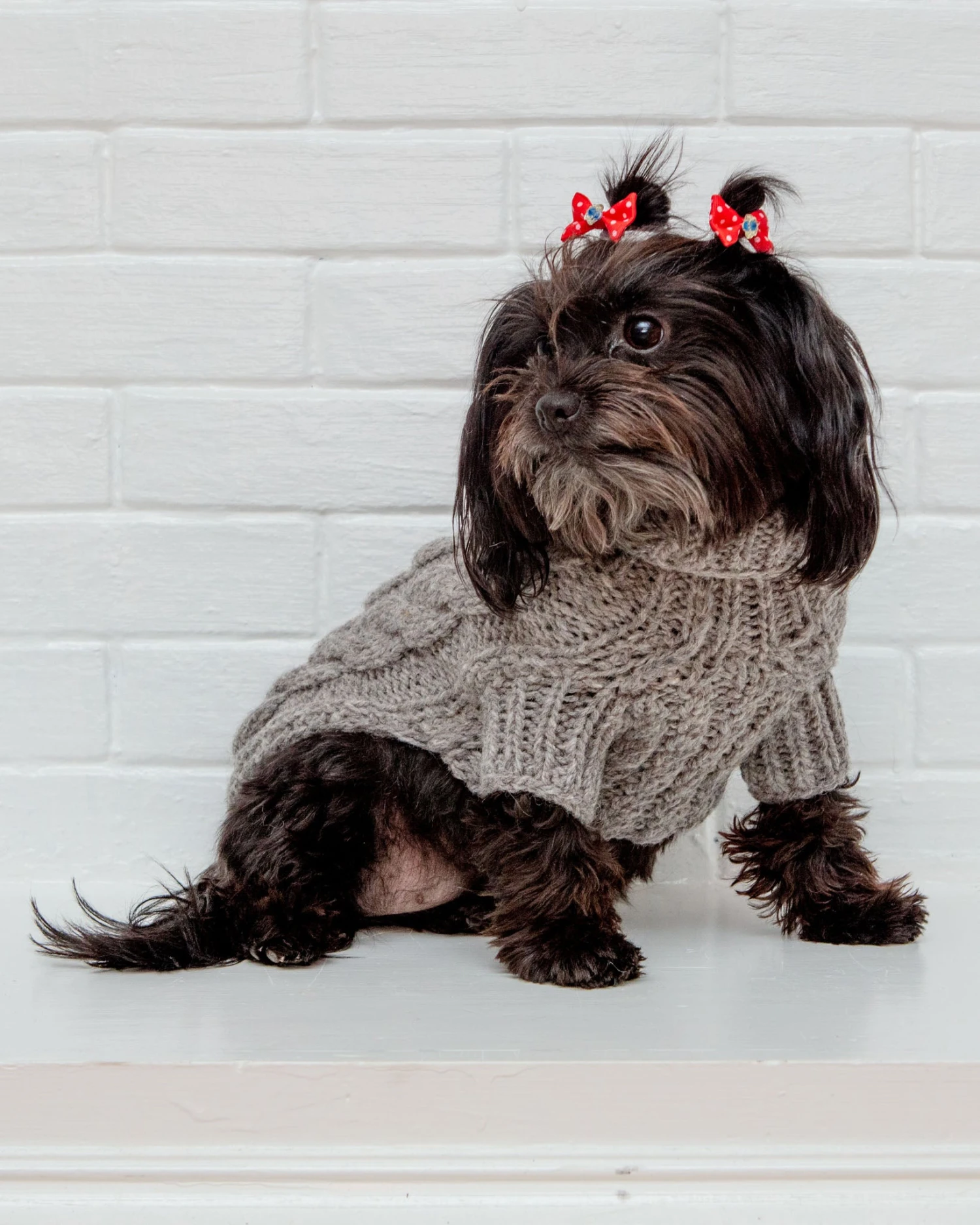 DOG & CO. COLLECTION Downtown Roll Neck Dog Sweater In Grey 10 DOG & CO. COLLECTION Downtown Roll Neck Dog Sweater In Grey - Image 10