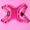 CHARLIE'S BACKYARD Comfort Dog Harness In Pink