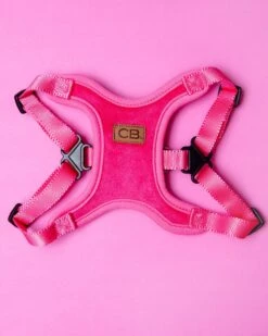 CHARLIE'S BACKYARD Comfort Dog Harness In Pink