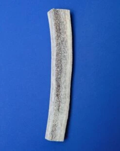 PUPFORD Split Elk Antler Dog Single Chew -Pet Sale Shop Dog Co 1C5A3417