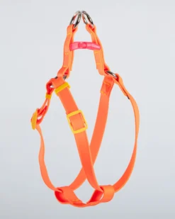 DOG & CO. COLLECTION A Walk In The Park Dog Harness (Made In The USA) (FINAL SALE) -Pet Sale Shop Dog Co 1C5A3517