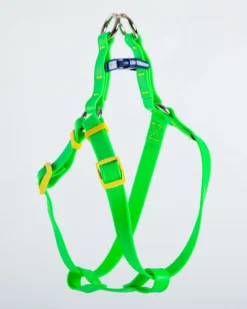 DOG & CO. COLLECTION A Walk In The Park Dog Harness (Made In The USA) (FINAL SALE) -Pet Sale Shop Dog Co 1C5A3535