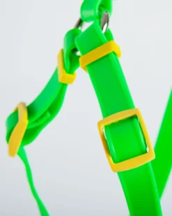 DOG & CO. COLLECTION A Walk In The Park Dog Harness (Made In The USA) (FINAL SALE) -Pet Sale Shop Dog Co 1C5A3537