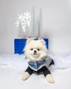 DENTISTS APPOINTMENT Body Warm Onesie In Black (Dog & Co. Exclusive) -Pet Sale Shop Dog Co 1C5A3952 ec12f554 7edf 4089 9c27 db385a41a02d