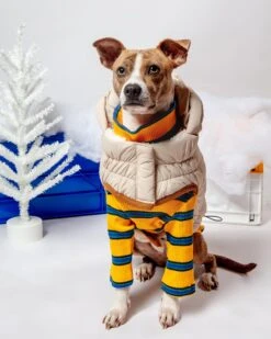 GF PET Arctic Dog Parka In Sand