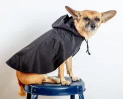 DOG & CO. COLLECTION Action Jacket Pull-On Raincoat In Black (Made In The USA) -Pet Sale Shop Dog Co 1C5A4018