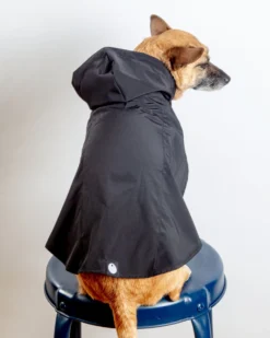 DOG & CO. COLLECTION Action Jacket Pull-On Raincoat In Black (Made In The USA) -Pet Sale Shop Dog Co 1C5A4027